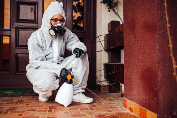 Reliable Fumigation Services contractor in Lake of the Woods, VA by Nex Pest Control