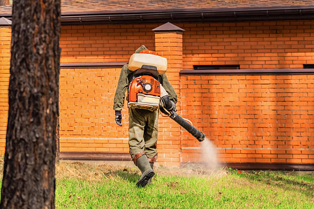 Trusted Fumigation Services service in Lake of the Woods, VA - Nex Pest Control
